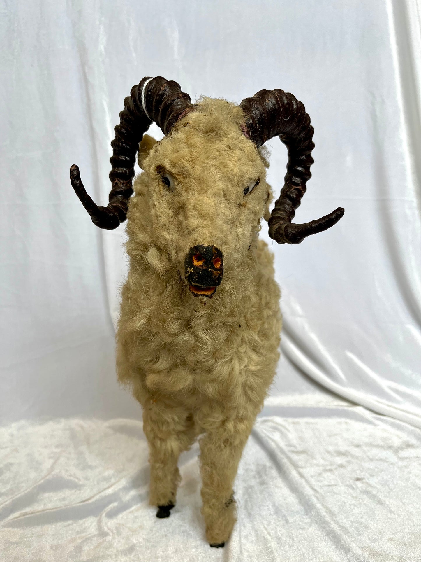 19th Century Curly Horned Ram