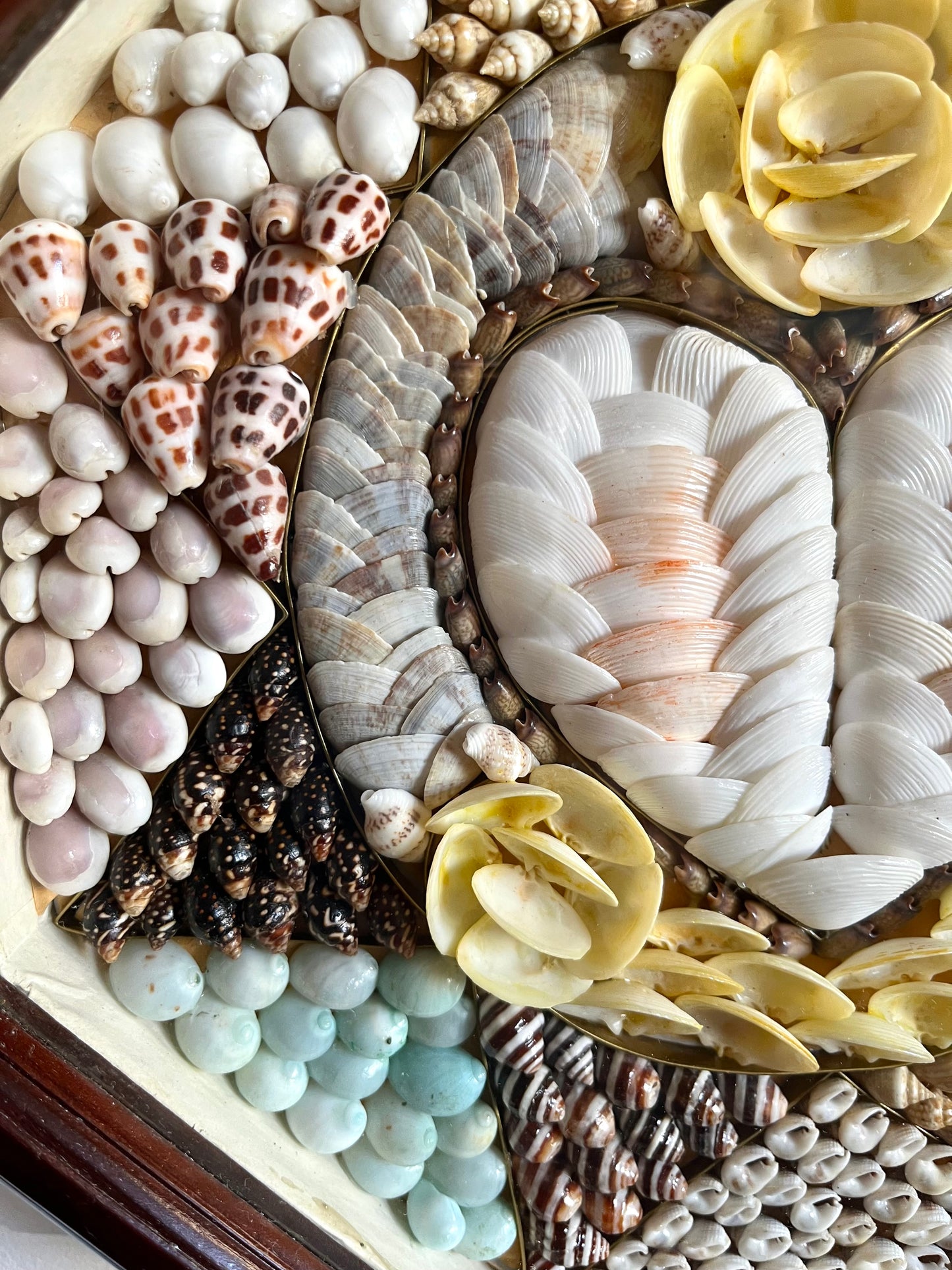 Sailor's Valentine Shell Art