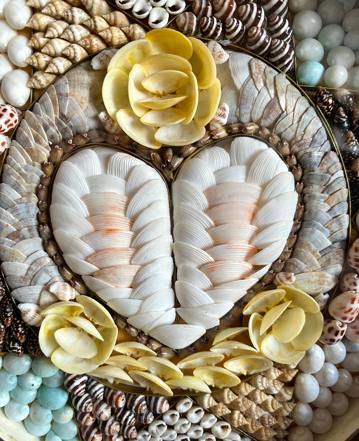 Sailor's Valentine Shell Art