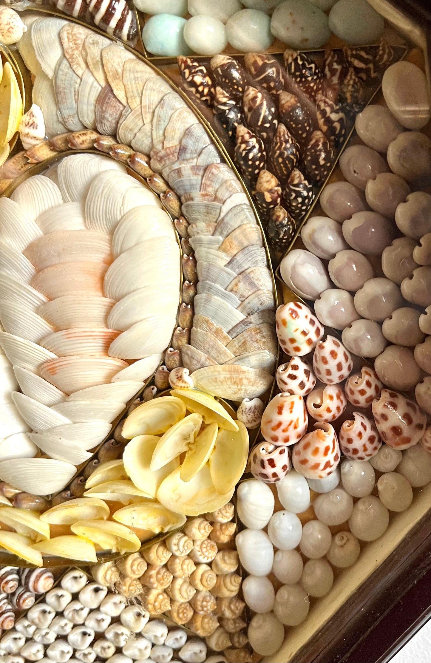Sailor's Valentine Shell Art