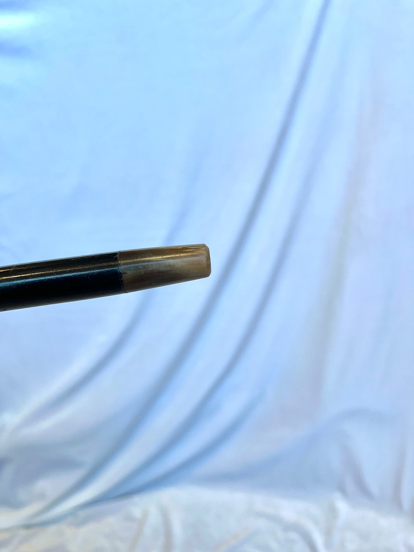 19th Century Carved Horse Cane