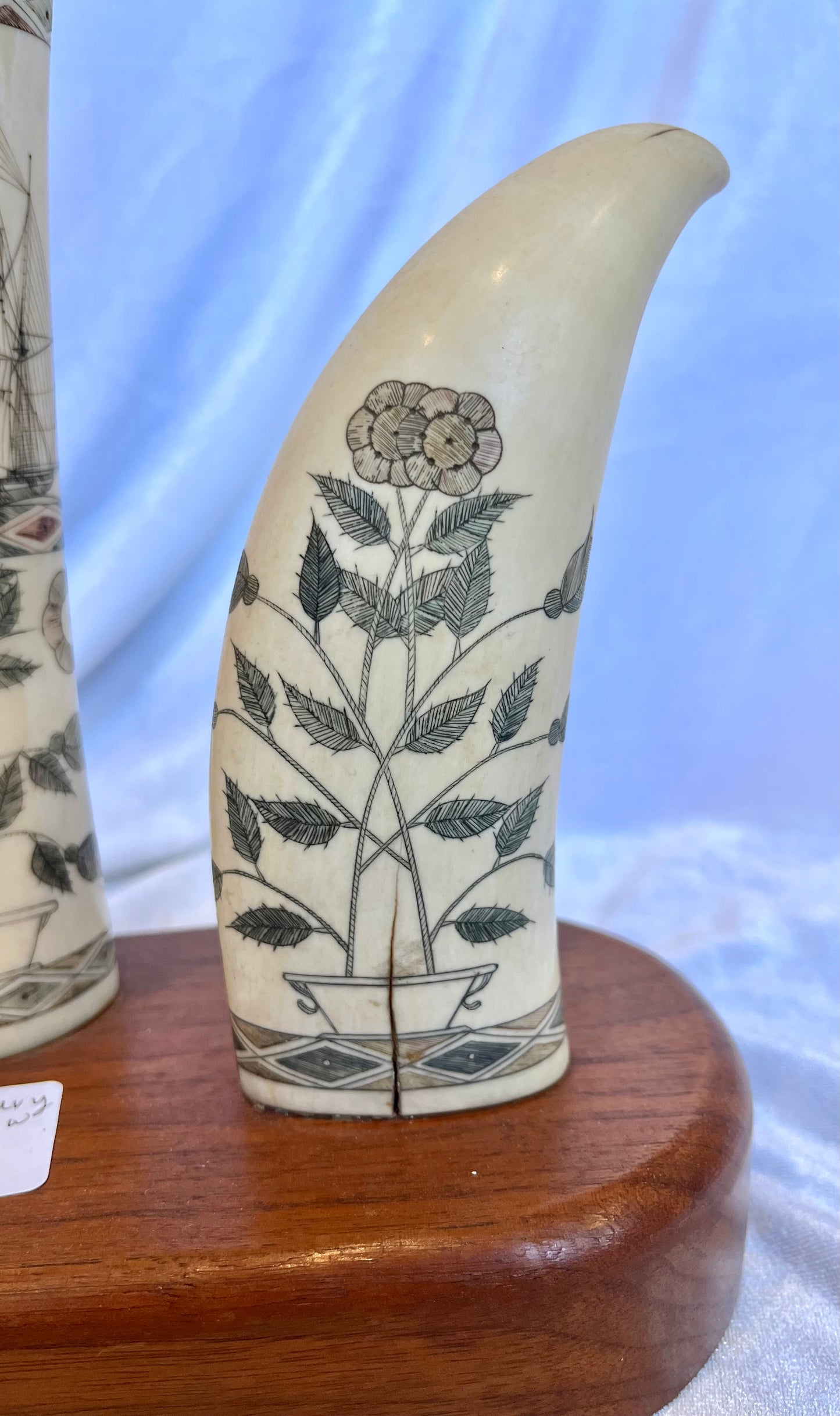 19th Century Scrimshaw Set