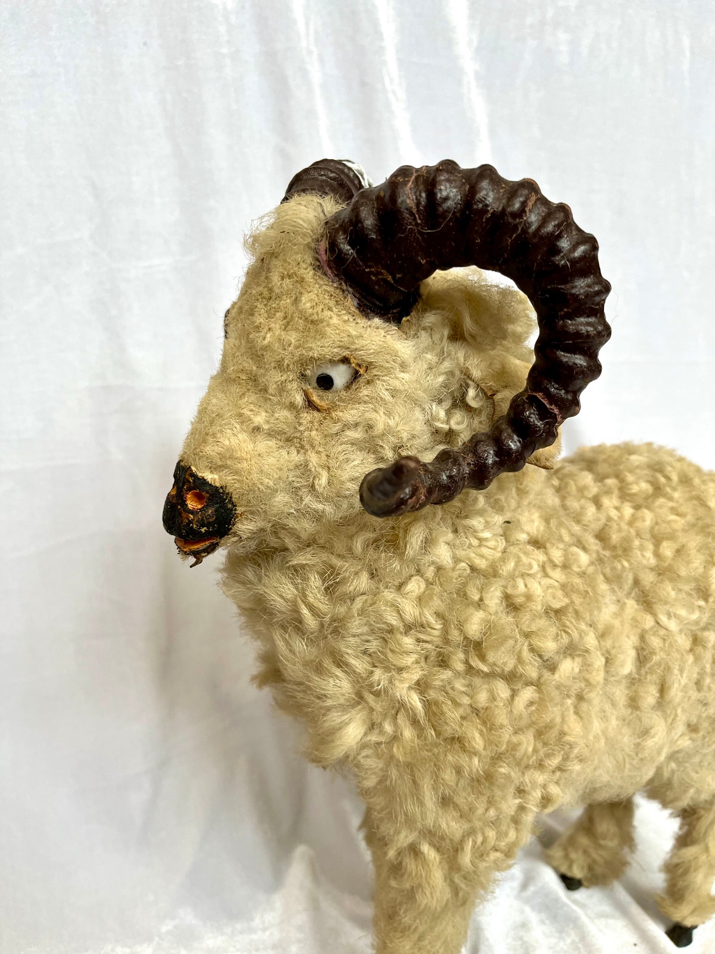 19th Century Curly Horned Ram
