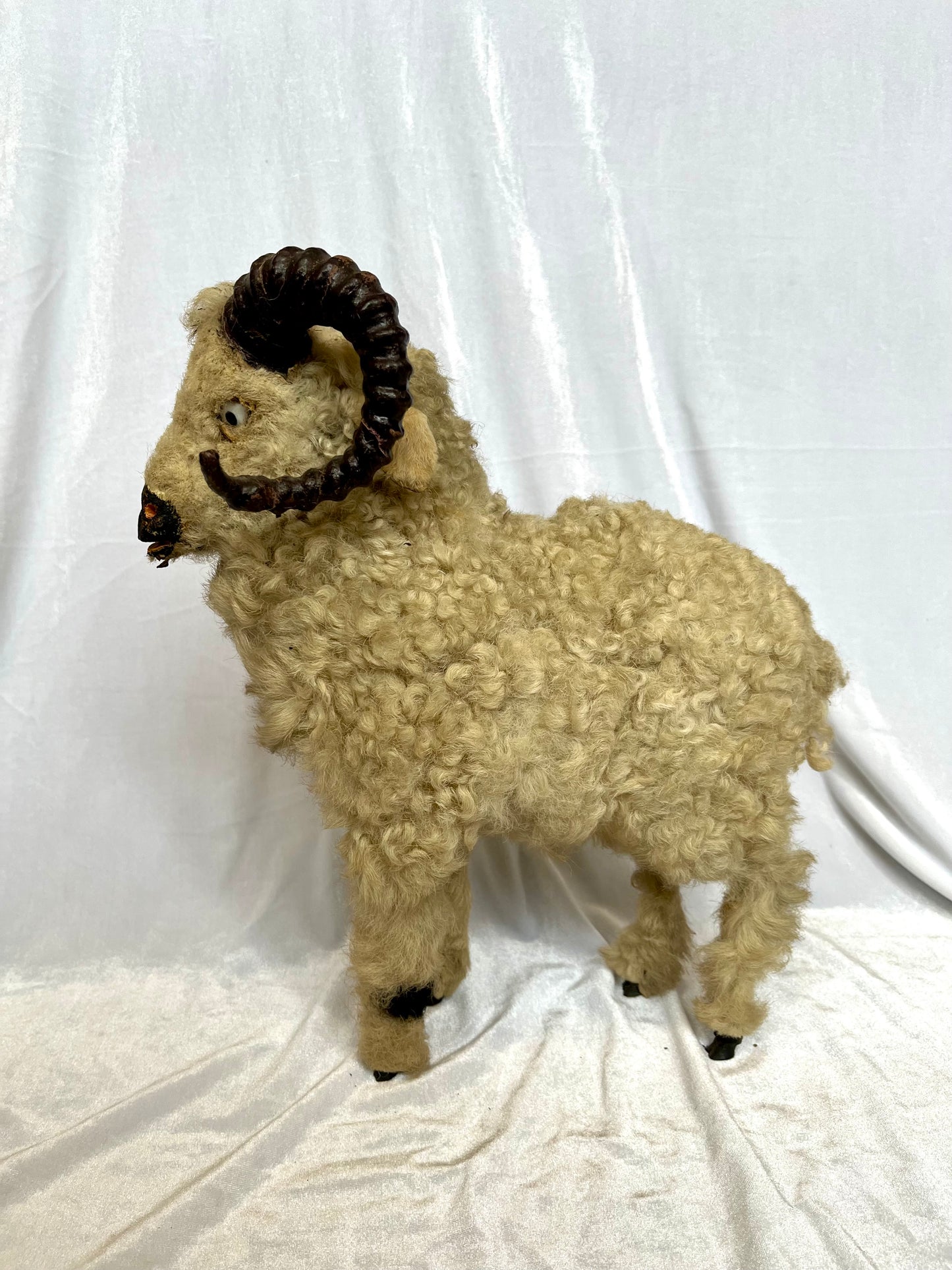 19th Century Curly Horned Ram