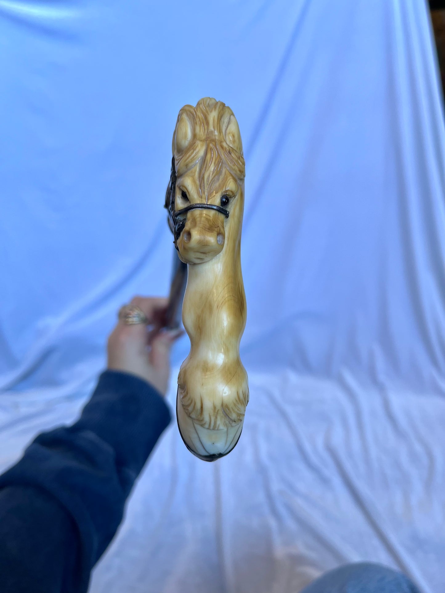19th Century Carved Horse Cane