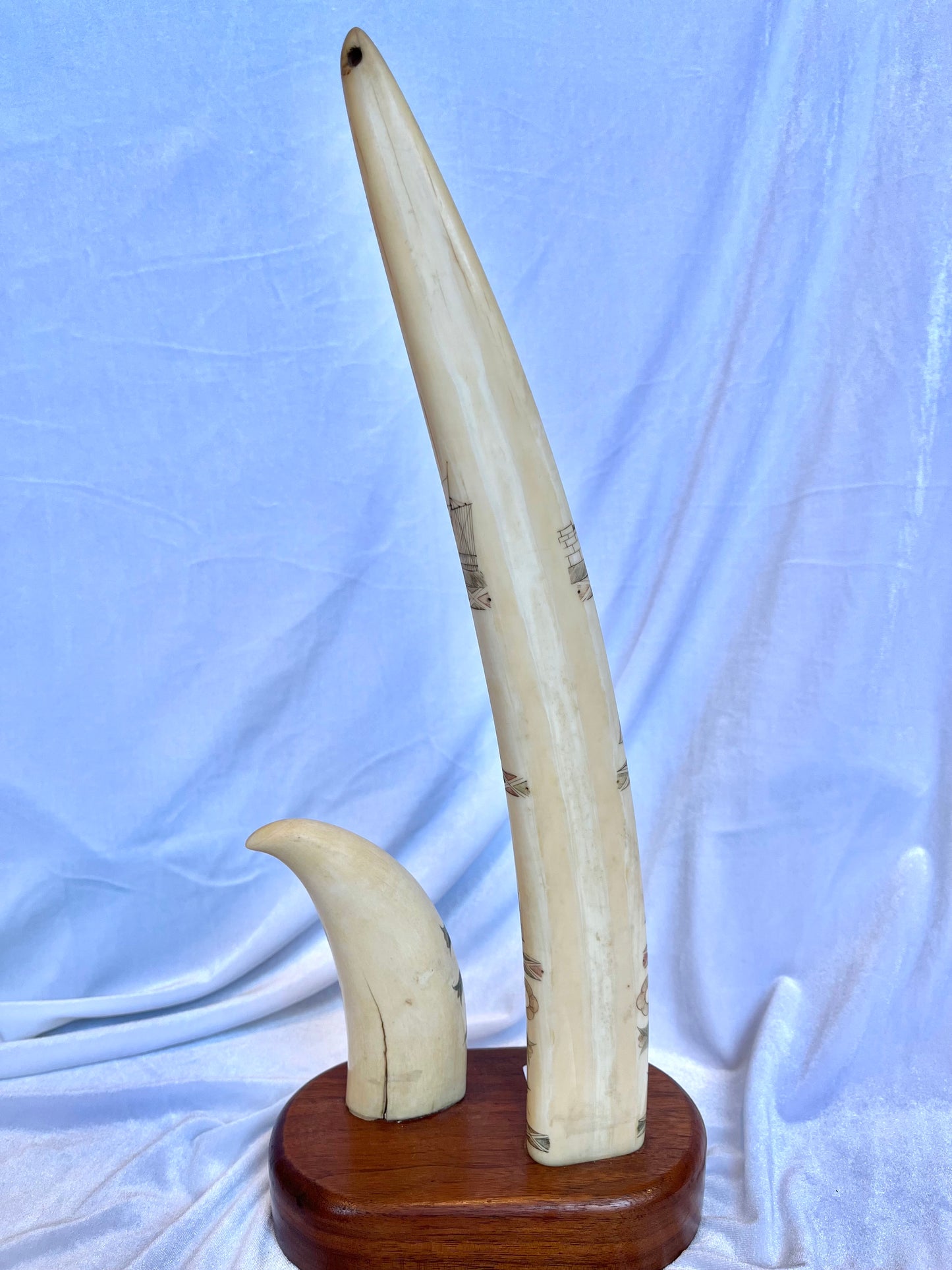 19th Century Scrimshaw Set
